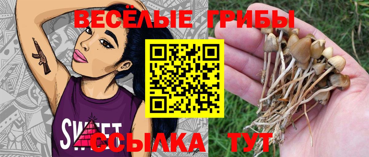 Псилоцибиновые грибы Psilocybine cubensis Шали