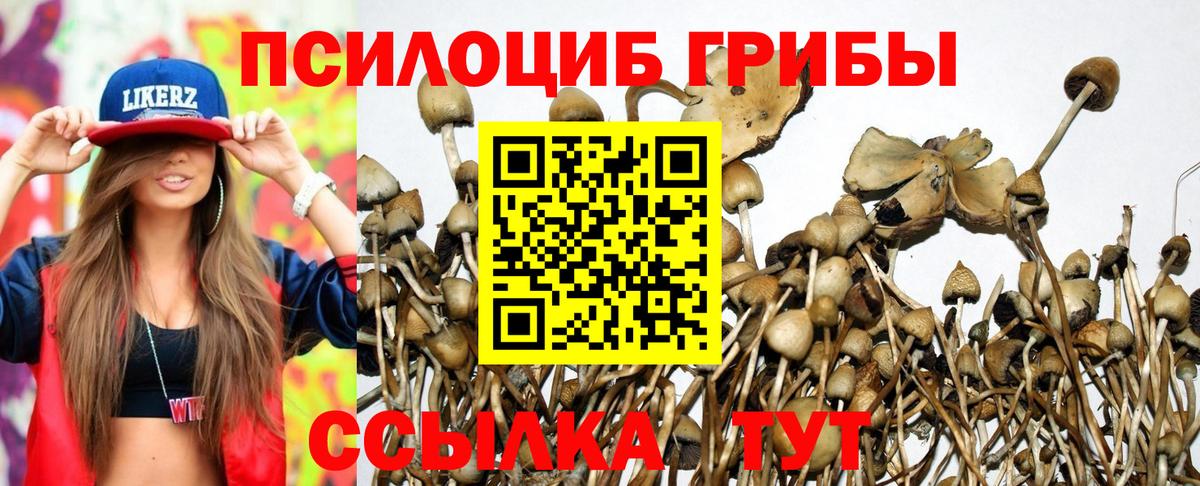 Галлюциногенные грибы MAGIC MUSHROOMS  Вход с VPN  продажа наркотиков  Шали 