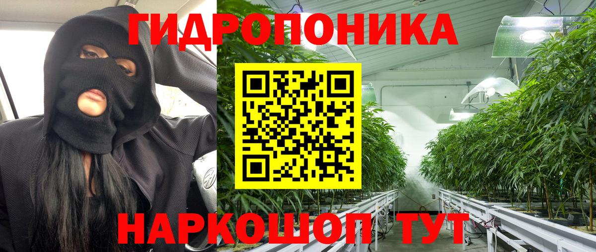 МАРИХУАНА гибрид Шали